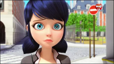 Quels sont les personnages qui ont été amoureux de Marinette ?