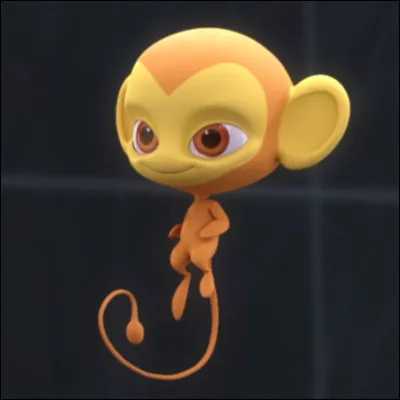 Qui a porté le miraculous du singe ?