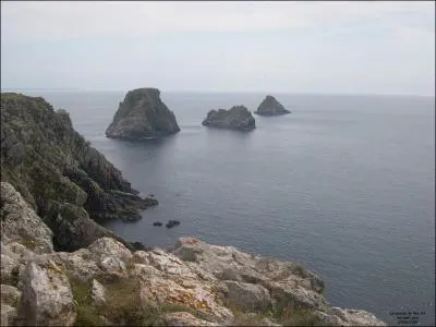 On les appelle 'le tas de pois', ils sont ...