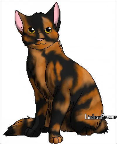 Qui était guérisseur avant elle ?