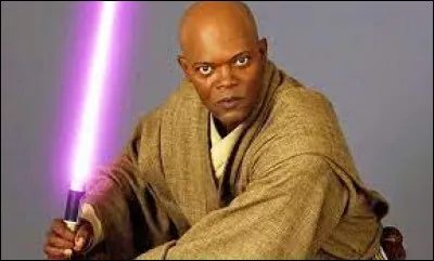 Quel est le style de combat de Windu ?
