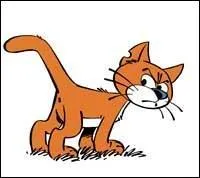 Comment s'appelle ce chat de bandes dessines ?