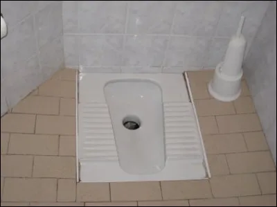 Quelles sont les toilettes les plus hygiéniques ?