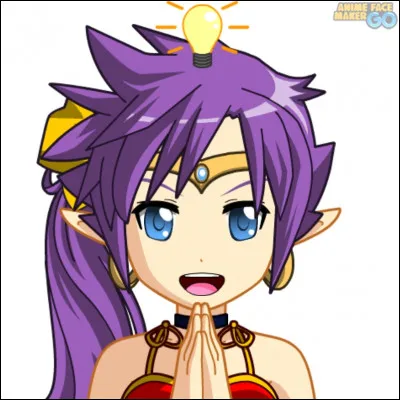 Comment s'appelle ceux qui ont développé Shantae ?