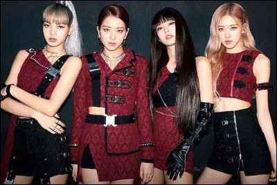 Si tu &eacute;tais un membre d'un groupe de k-pop, tu serais...
