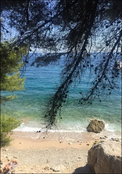 Quelle est la couleur de la chemise que Denis porte le plus ?