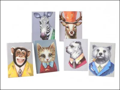 Quel animal voit-on avec un chapeau ?