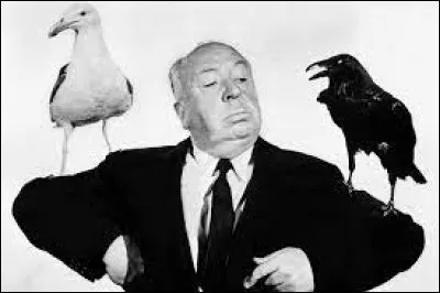 Qui a joué Mitch dans "Les Oiseaux" d'Alfred Hitchcock ?