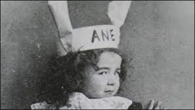 Le bonnet d'âne était pour :