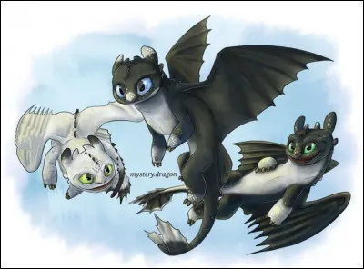 Pour finir, &agrave; quelle race de dragon appartiennent les trois dragons ?