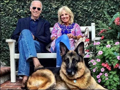 Si tu étais un chien, serais-tu amical envers les gens ?