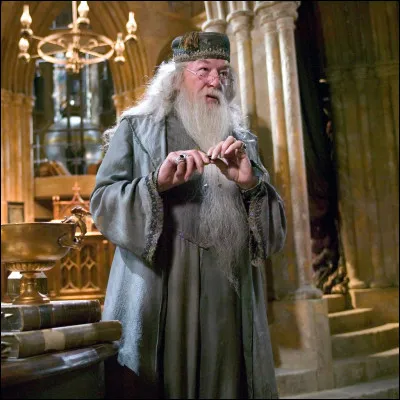 À quel personnage d'une saga, autre que dans Harry Potter, Albus Dumbledore ressemble-t-il ?