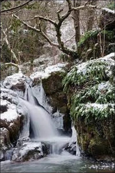 Je vous emmène en Nouvelle-Aquitaine à la découverte du cascade du Puits d'Enfer, à Éxireuil. Commune de l'aire d'attraction de Saint-Maixent-l'École, elle se situe dans le département ...