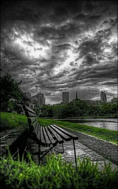 Qui chantait "Elle te fera changer la course des nuages, balayer tes projets, vieillir bien avant l'âge" dans sa chanson "C'est écrit" ?