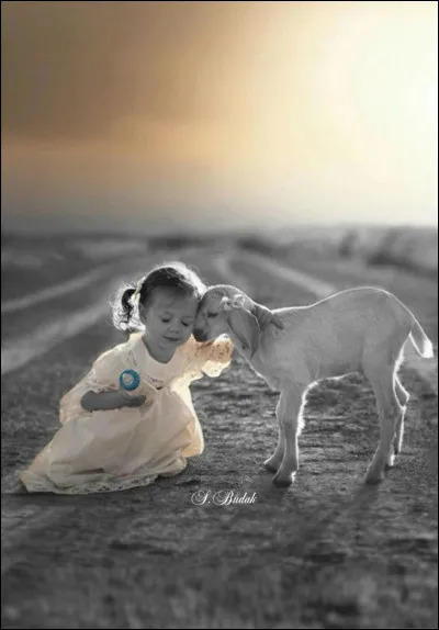 De quelle couleur sont les nuages qualifiés poétiquement de "moutons" ?