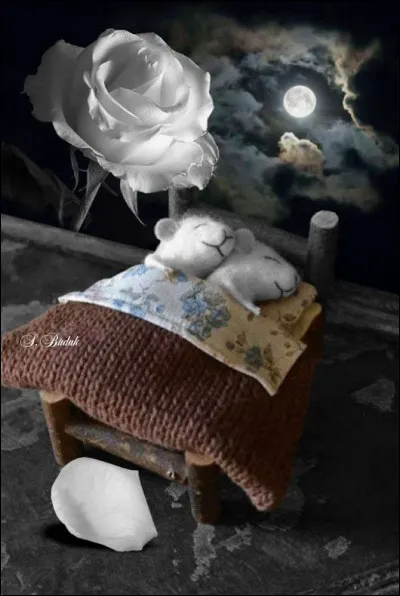 Quel est le nom de cette galaxie voisine de notre Voie lactée ?