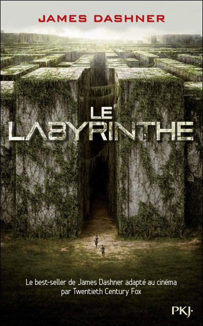 Qui est le premier à être arrivé dans le labyrinthe ?