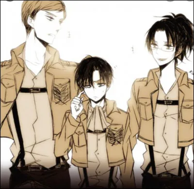 Quelle est la taille de Livaï ?