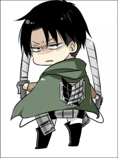 Combien pèse Livaï ?