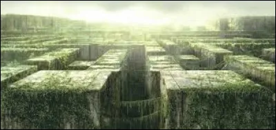 Combien de temps Thomas a-t-il passé dans le labyrinthe ?