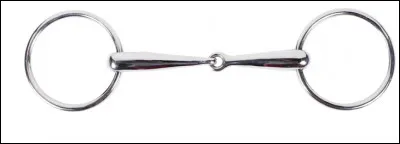 Quel est le nom de ce mors ?