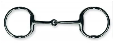 Quel est le nom de ce mors ?