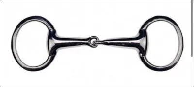 Quel est le nom de ce mors ?