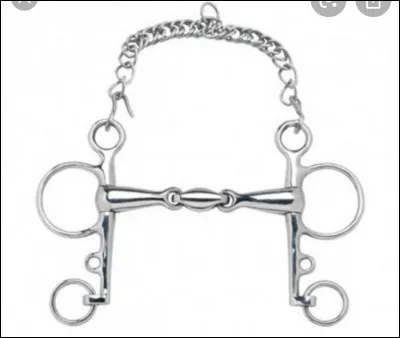 Quel est le nom de ce mors ?