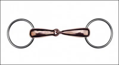 Quel est le nom de ce mors ?
