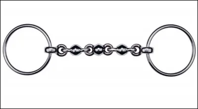 Quel est le nom de ce mors ?