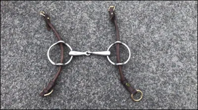 Quel est le nom de ce mors ?