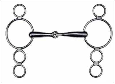 Quel est le nom de ce mors ?