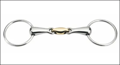 Quel est le nom de ce mors ?