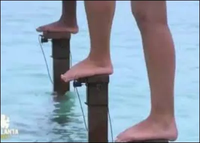 Qui a gagné 2 fois l'épreuve des poteaux sur "Koh-Lanta" ?