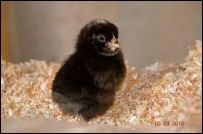 C'est trop injuste !