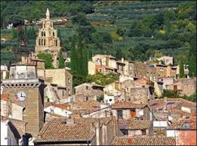 Quel aliment est la spécialité de la ville de Nyons ?