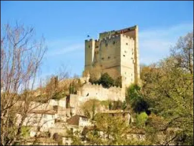 Quelle ville est célèbre pour sa tour qui est le plus haut donjon de France avec ses 52 mètres ?