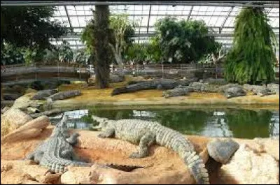 Dans quelle ville de la Drôme se situe la Ferme aux crocodiles ?