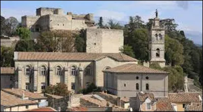 Dans la Drôme, se trouve la ville de Montélimar réputée pour le...