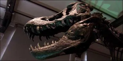 Les principaux reptiles terrestres de l're secondaire furent :