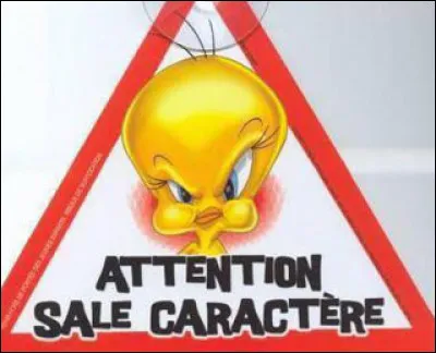 Quel est ton plus grand défaut ?