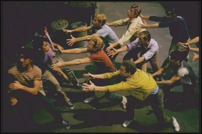 Par sa mise en scène ce film de 1961 va révolutionner le cinéma hollywoodien. Quel est ce film musical qui reprend l'opposition entre deux bandes rivales ?