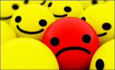 Tu achètes un arbre à chat et à la place il griffe le canapé, que fais-tu ?