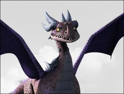 Et pour finir, de quelle race de dragon s'agit-il ?