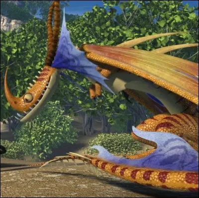 Quel est le nom de la race de ce dragon ?
