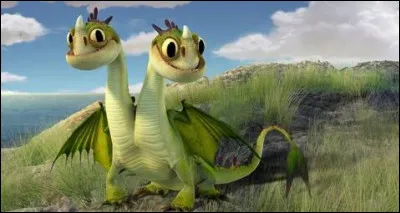 A quelle race appartient ce b&eacute;b&eacute; dragon ?