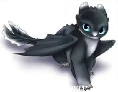 Quelle est la race de ce dragon ?