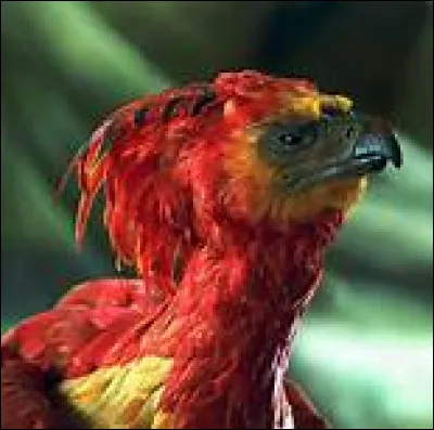 Quelle est cette créature ?