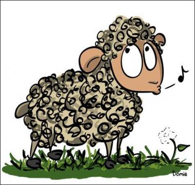 Quel est le cri du mouton ?