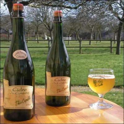 Avec quels fruits fait-on le cidre ?